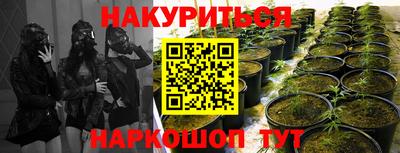 ГАЛЛЮЦИНОГЕННЫЕ ГРИБЫ Ачхой-Мартан