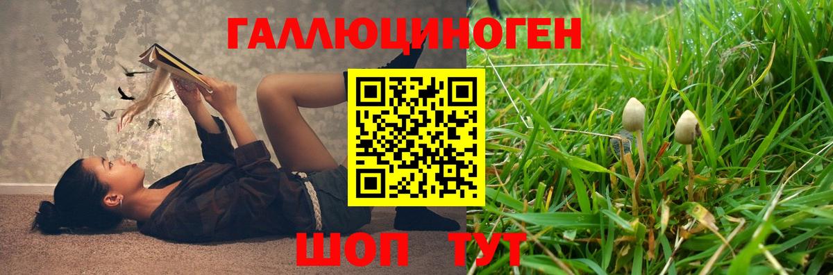 Псилоцибиновые грибы Magic Shrooms  Вход с VPN  Орехово-Зуево 